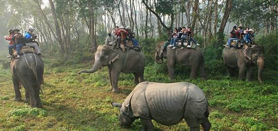 Chitwan Tour